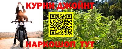прущие крисы Ставрополь