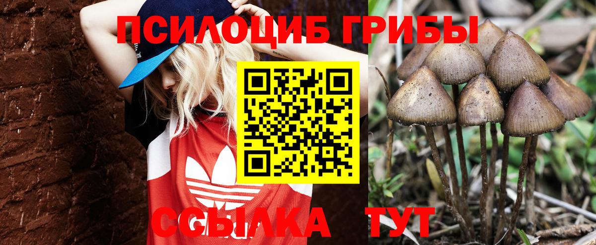 Галлюциногенные грибы Magic Shrooms Полевской