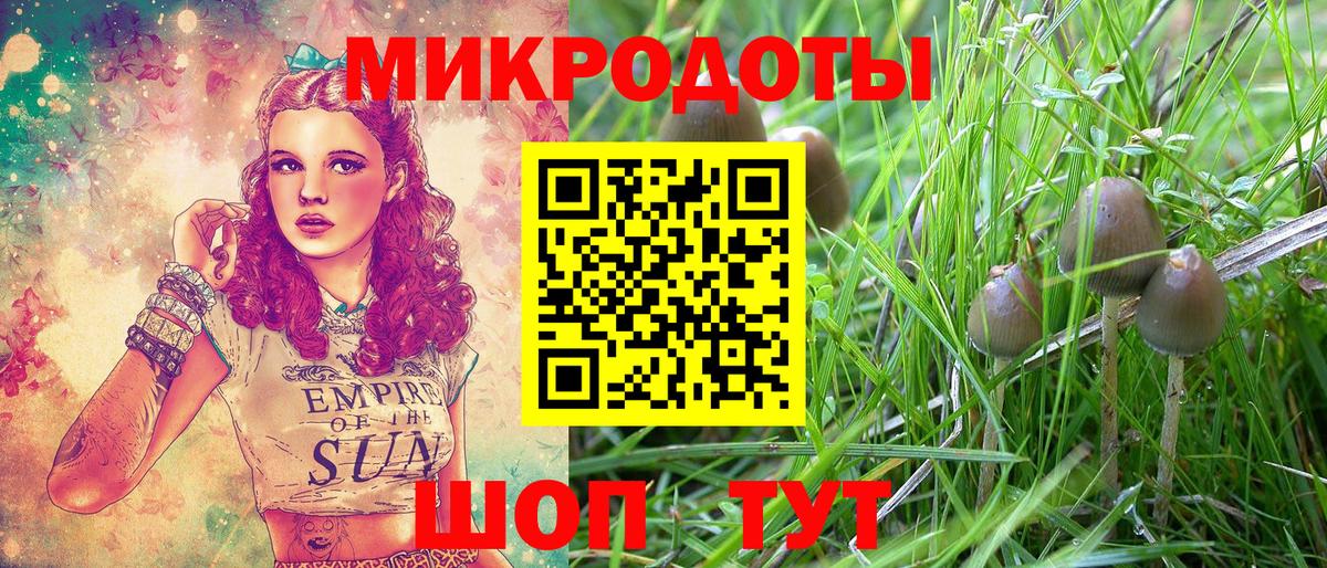 Галлюциногенные грибы мухоморы  Вход с VPN  Полевской 